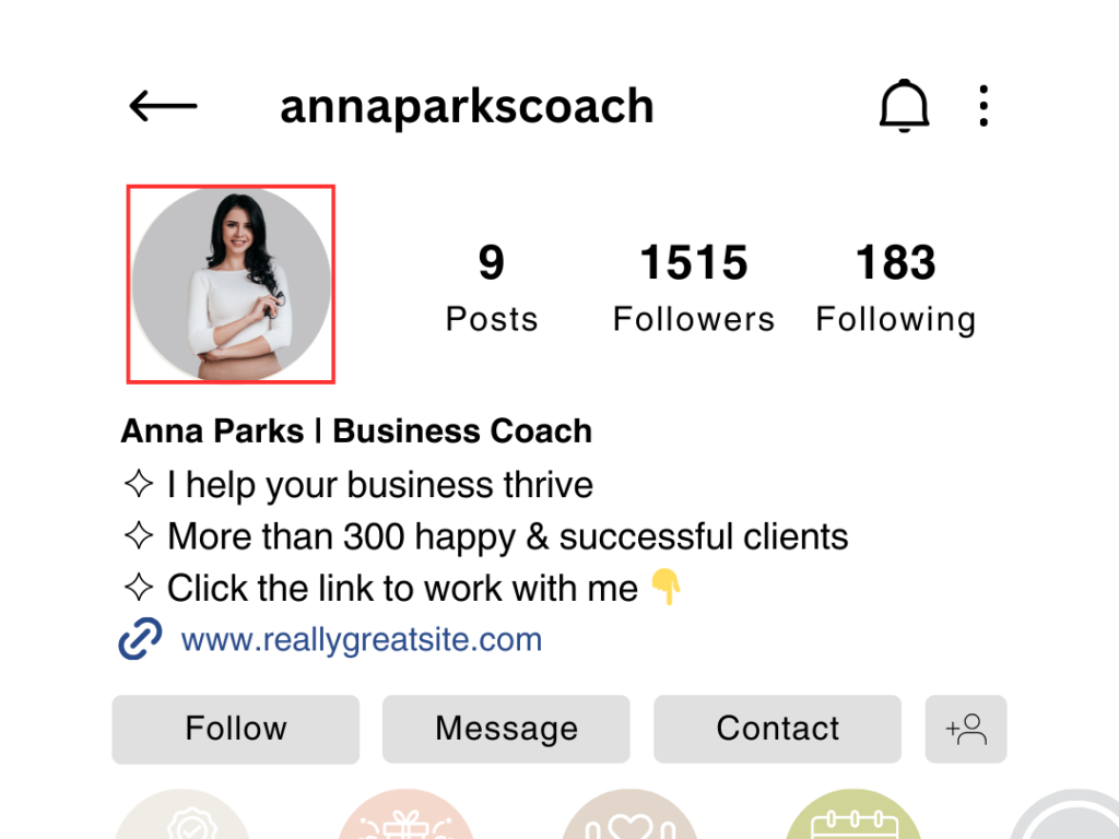 instagram business professional profile picture solopreneur