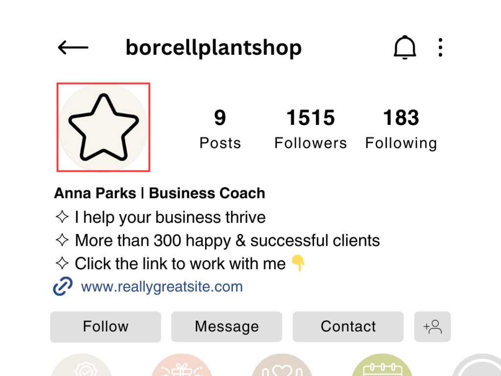 instagram business professional profile picture brand